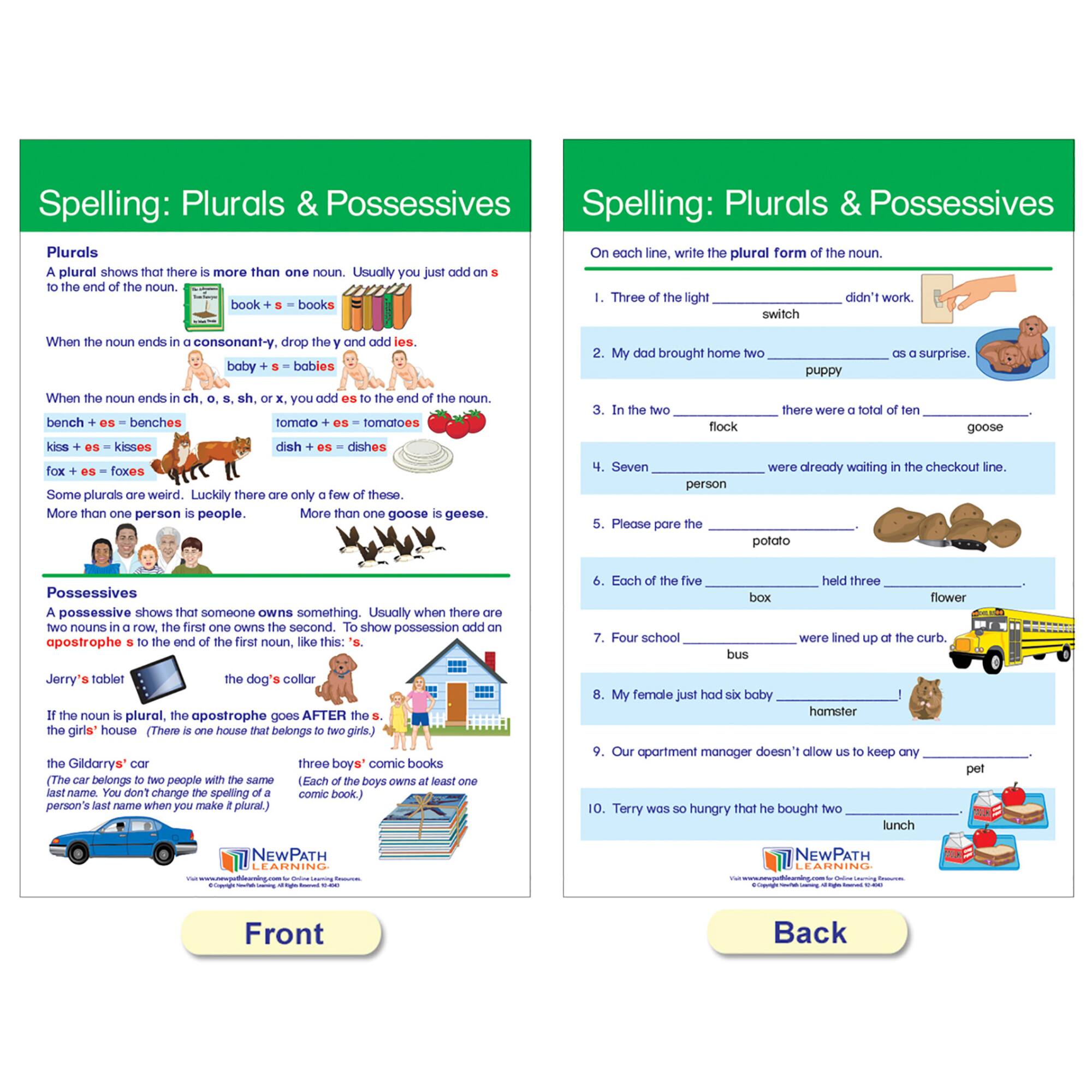 NewPath Learning® 18" x 12" Spelling Rules Bulletin Board Chart Set